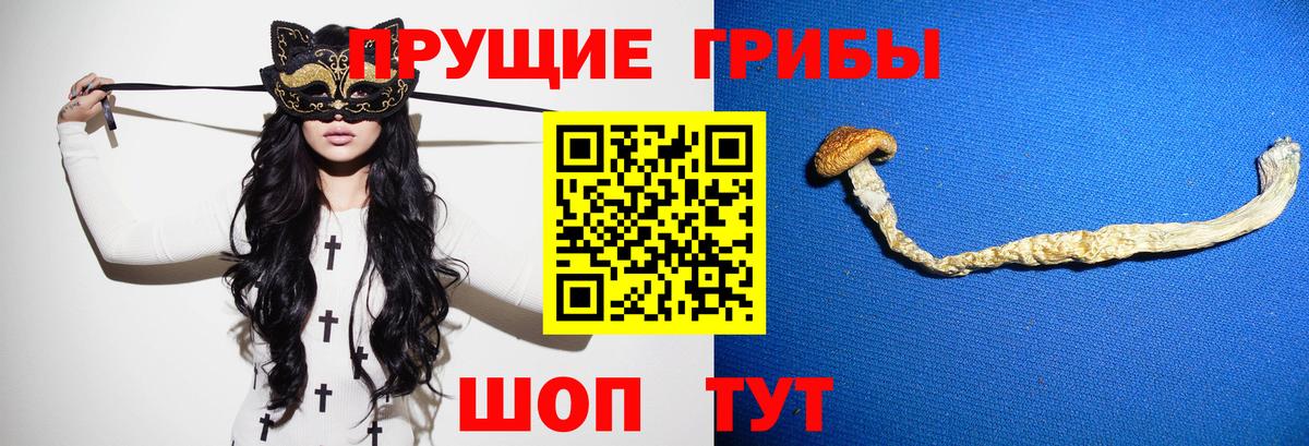 Павлово  Псилоцибиновые грибы Cubensis  Галлюциногенные грибы Cubensis  Вход с VPN 